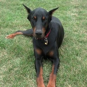 Meet your Posher, Christopher